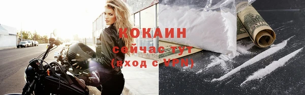 стаф Богородицк