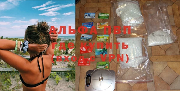 сатива Богданович