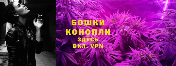 стаф Богородицк