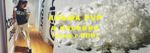 сатива Богданович