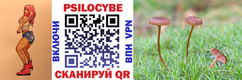 ссылка на мегу рабочий сайт  Добрянка  Псилоцибиновые грибы Psilocybine cubensis  купить наркотики сайты 